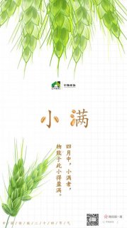 中国物业服务企业2019小满海报大赏
