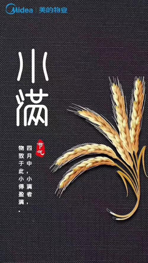 2019物企小满海报大赏
