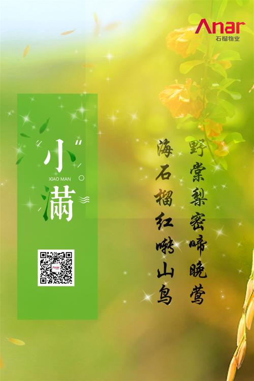 2019物企小满海报大赏