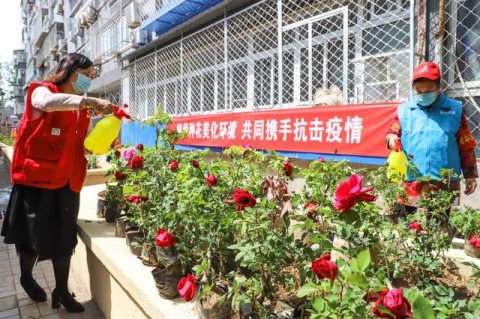 北京308万余人次参与爱国卫生月活动，将与物业管理、垃圾分类等结合