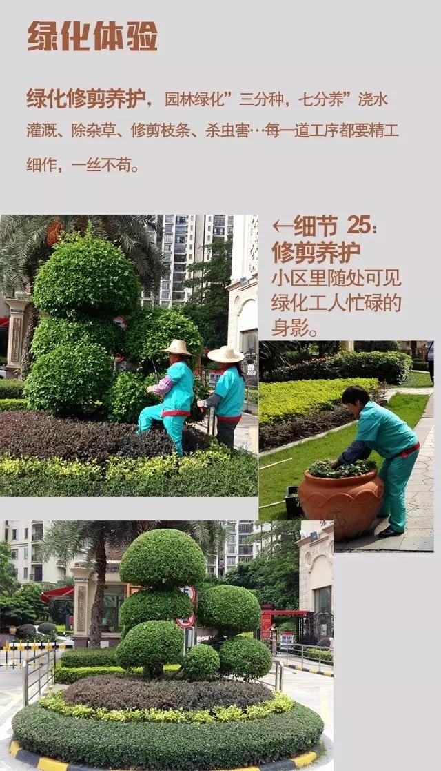 28个物业服务细节!看懂好物业是如何服务小区的