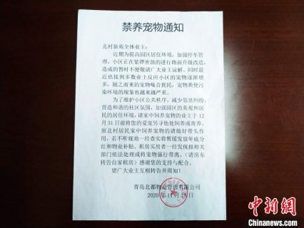 青岛禁养宠物小区物业回应：将按相关条例进行管理
