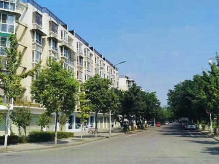 成都新津区首家村集体物业公司成立 多管齐下挑起安置小区物管重担