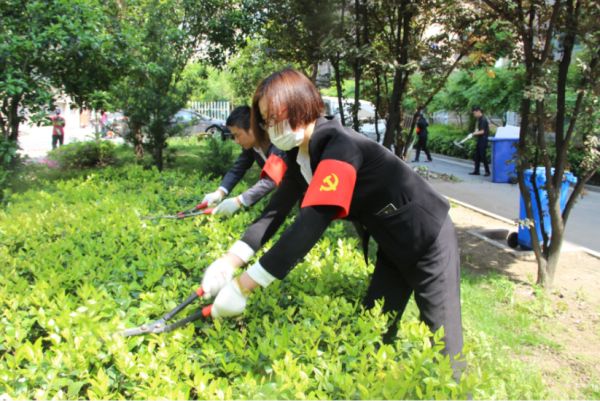 开元物业：提升服务品质，共建美好家园