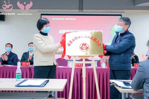 全国率先 成都市成立物业行业妇女联合会