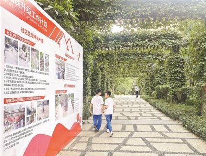 广州成立物业小区党组织比例位列全省第一