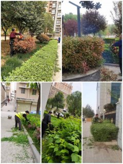 华阴市住建局：提升物业服务水平 打造美丽宜居小区