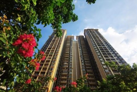 广州将支持大型保障房小区试点“物业服务+养老服务”
