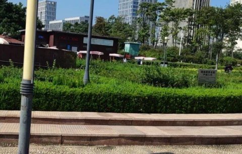 青岛拟出台新物业管理办法，着力解决四大难题